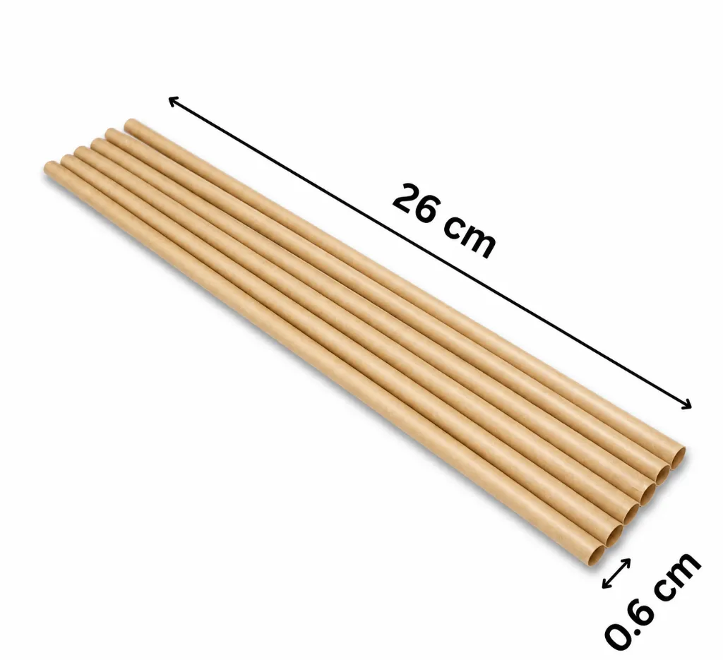 Popote biodegradable 26cm.webp