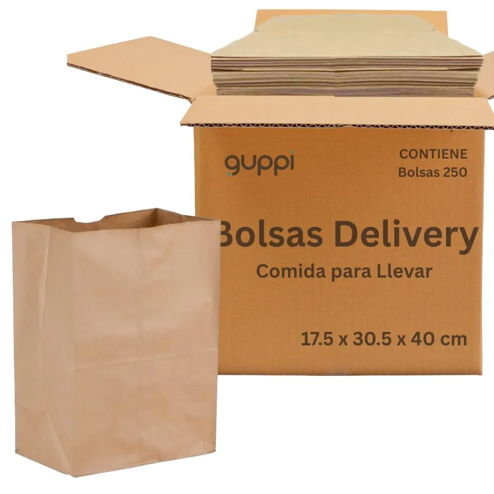 Caja Bolsa Kraft Delivery 1/6 250 pza